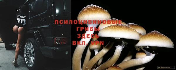 PSILOCYBIN Арсеньев