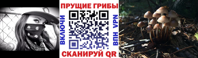 где можно купить наркотик  Покровск  Псилоцибиновые грибы ЛСД 